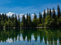 Mont Blanc-massief gezien vanaf Lac Vert bij Passy