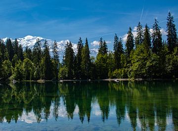 Mont Blanc-massief gezien vanaf Lac Vert bij Passy van Nicolas LEMAIRE
