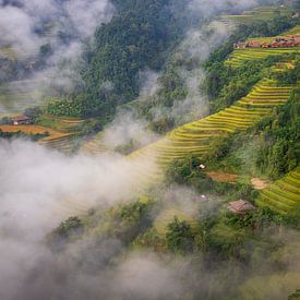 De Spectaculaire Rijstvelden van Hoang Su Phì, Vietnam van Antwan Janssen