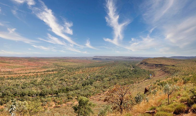 Outback-Panorama von Laura Krol