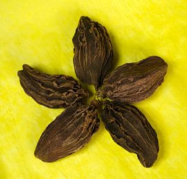 Whale zwarte kardemombloem op geel van Iris Holzer Richardson