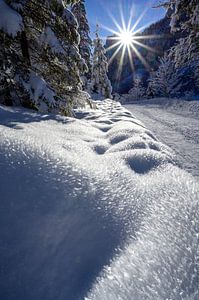 Winterochtend in Gosau van Peter Felberbauer