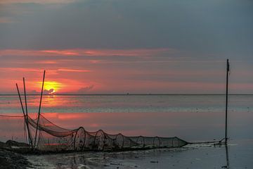 Une soirée sur la WAD