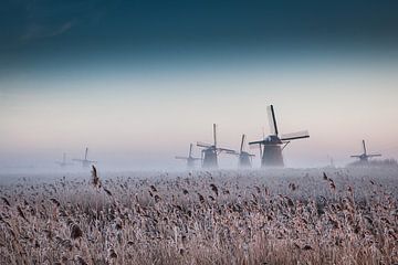 Molens in Kinderdijk in  Hollands winterlandschap van Peter Lodder