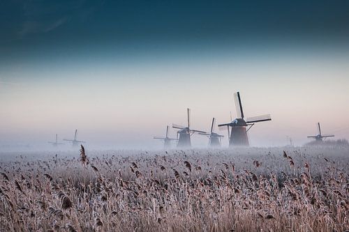 Molens in Kinderdijk in  Hollands winterlandschap