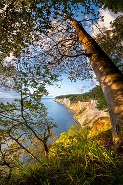 Chalk cliffs on the island of Rügen in the sunlight by Voss Fine Art Fotografie