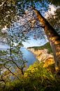 Kreidefelsen auf der Insel Rügen im Sonnenlicht von Voss Fine Art Fotografie Miniaturansicht
