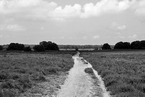 Über der Ermeloschen Heide in schwarz-weiß
