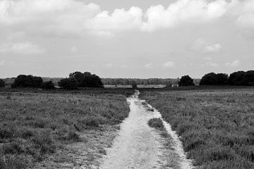 Au-dessus de la Ermelosche Heide en noir et blanc sur Gerard de Zwaan