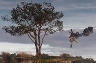 Strijbeekse heide North Brabant, Holland, Netherlands Just before the explosion a branch by Ad Huijben thumbnail