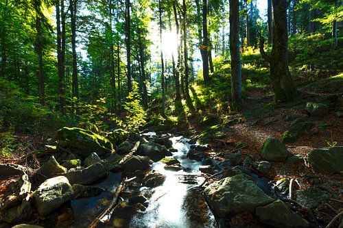 Stroom met achtergrondverlichting