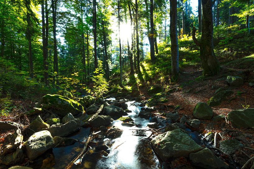 Backlit stream by Jürgen Wiesler