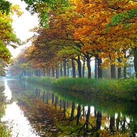 Herfst kleurt het Apeldoorns kanaal von Edwin van Rossen