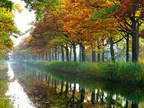 Herfst kleurt het Apeldoorns kanaal