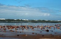 View on the sea 