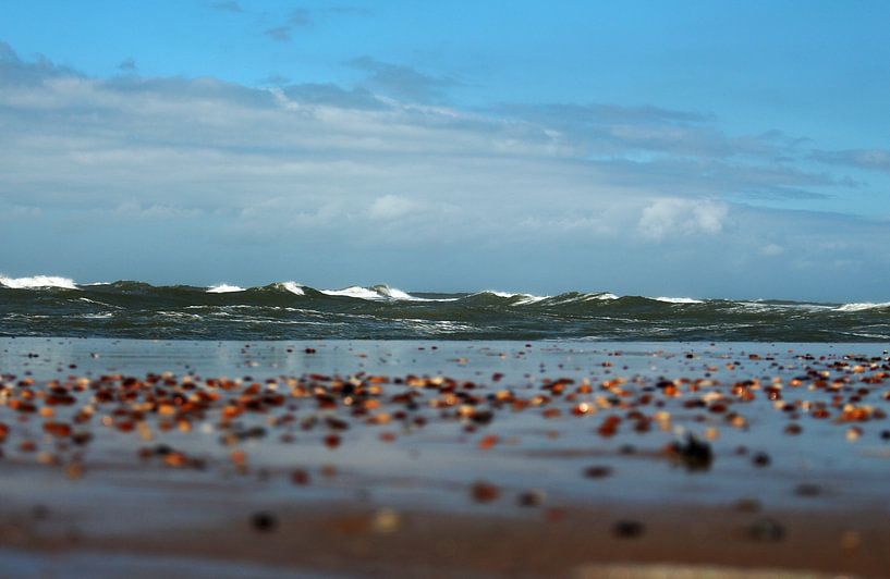 View on the sea  by Martin van der Plas