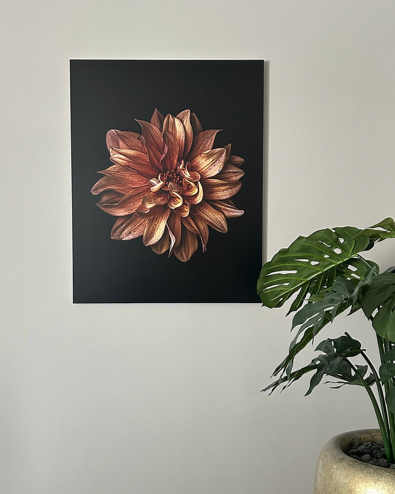 Close-up of orange dahlia