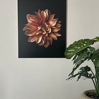 Klantfoto: Close-up van oranje dahlia van Adje Photography, op aluminium