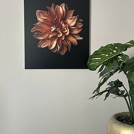 Klantfoto: Close-up van oranje dahlia van Adje Photography, op aluminium