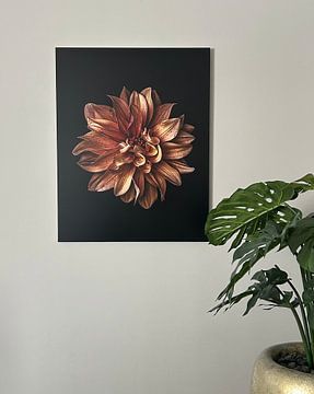 Klantfoto: Close-up van oranje dahlia van Adje Photography