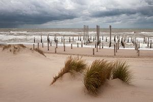 Palendorp Petten Noord-Holland