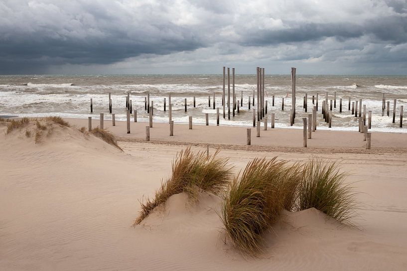 Palendorp Petten Noord-Holland by Marga Vroom