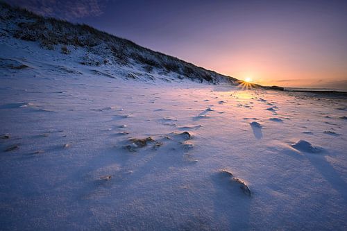 Snowburn sur Thom Brouwer