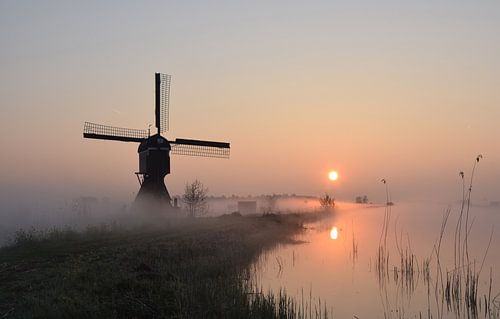 Op een mistige zondagmorgen