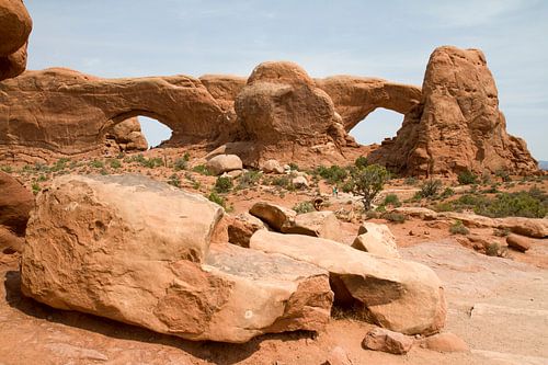 North and South Window Arches