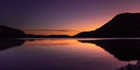 Lila Abend