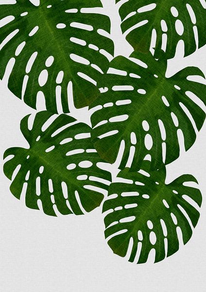 Monstera Leaf I by Orara Studio