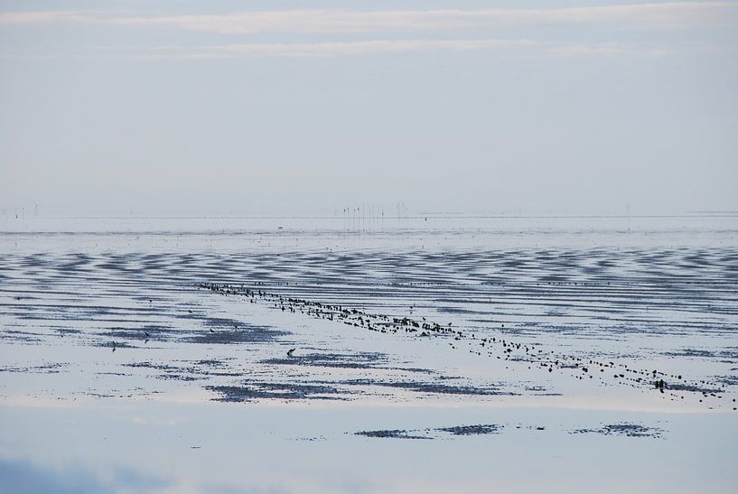 Uitzicht op de Waddenzee. von Margreet van Beusichem