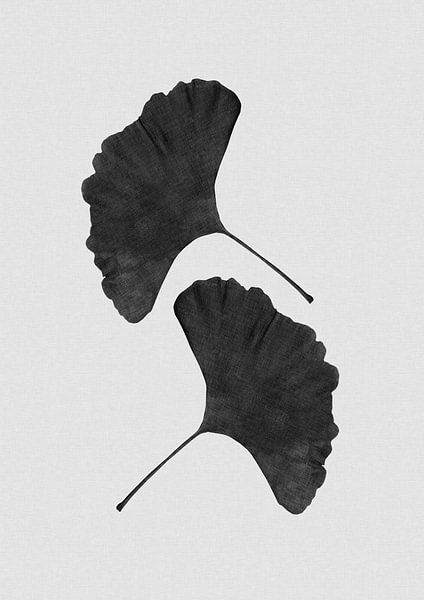 Ginkgo-Blatt Schwarz &amp; Weiß II von Orara Studio