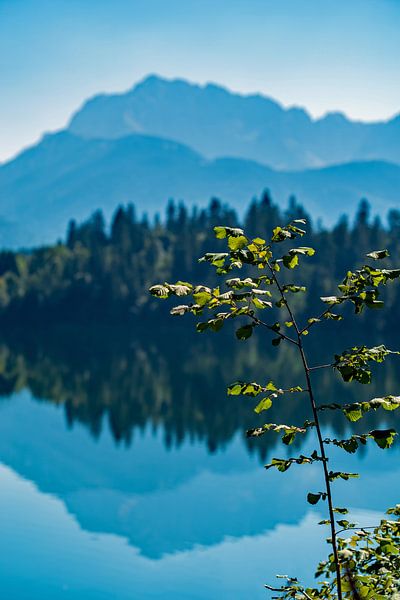 Zomer aan het Barmeer van Thomas Riess