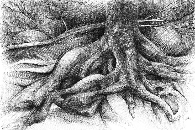 Intertwined tree roots by Adriana Müller