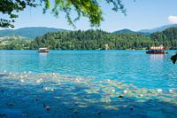 Der zauberhafte See von Bled in Slowenien