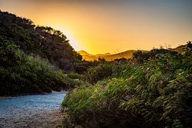 Pfad ins goldene Licht von Patrick Kilb