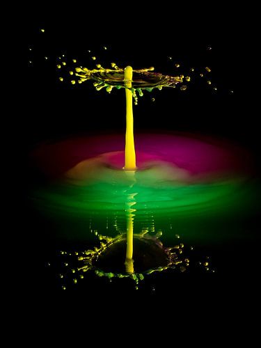 paddenstoelendruppel