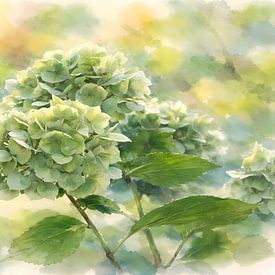 Hortensie von Linda de Klein