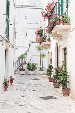 Witte steeg met bloemen in Locorotondo in Apulië van Photolovers reisfotografie