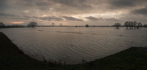 Hoogwater bij Prins Willem Alexanderbrug in Echteld