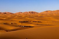 Promenades en chameau à travers Merzouga (le désert du Sahara)