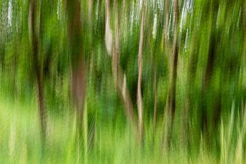 In het bos, abstract ICM van Yanuschka Fotografie | Noordwijk