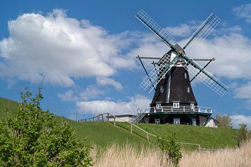 Windmühle, Pellworm, Nordfriesland, Deutschland von Alexander Ludwig