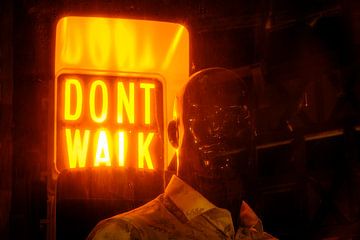 Don't Walk by Evert Jan Luchies