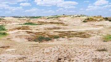 The dune expanse along the coast
