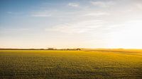 Landschaft in Nord-Beveland von Andy Troy Miniaturansicht