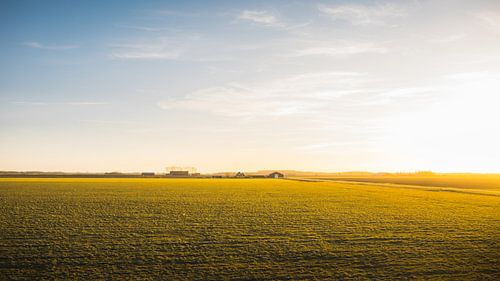 Noord-beveland landschap