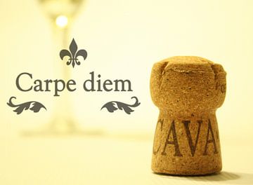 Carpe Diem van Kim van Erp