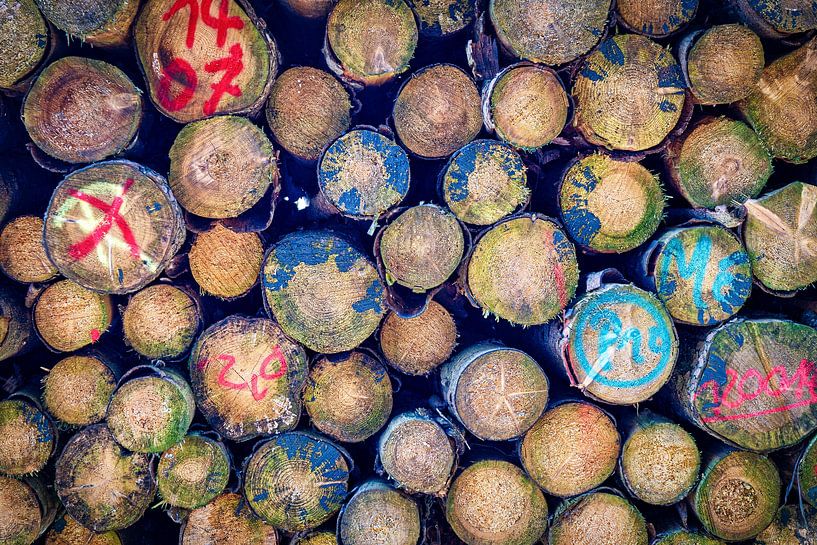 Logs from Germany by Böhne fotografie
